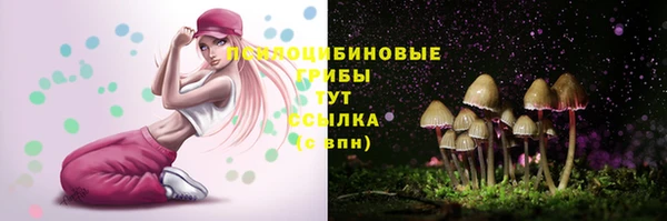 спайс Абаза