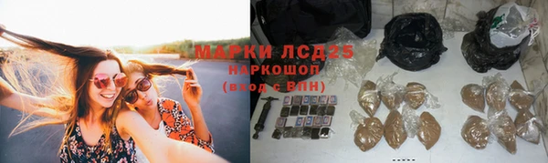 спайс Абаза