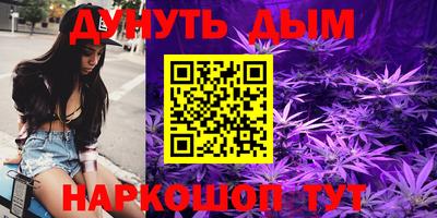 гидра Славянск-на-Кубани