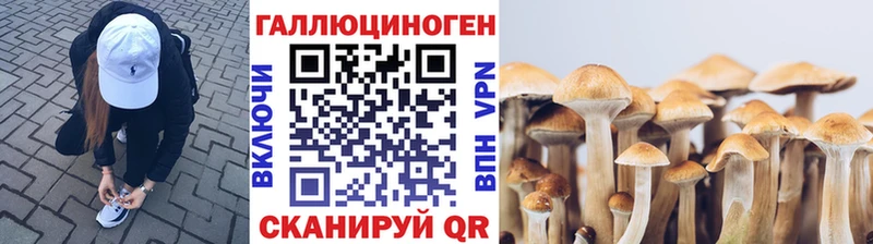 гидра ссылка  Усть-Илимск  Галлюциногенные грибы мухоморы  как найти наркотики 