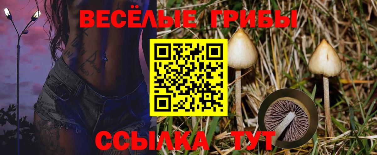 где купить наркоту  Галлюциногенные грибы Cubensis  Вход с VPN  Усть-Илимск 